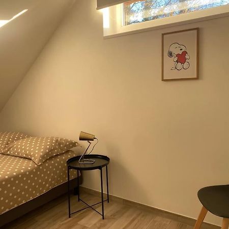 Appartement Dans Une Grange Renovee Strasbourg Exterior foto